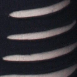 Punk Rave Gothic Burnt Flower Top