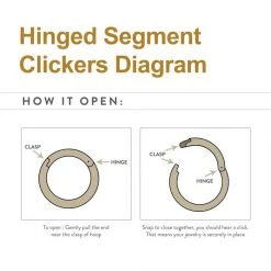 BodyVibe Surgical Steel Basic Hinged Segment Ring - 18g 5/16" Jewelry 5 BodyVibe Surgical Steel Basic Hinged Segment Ring - 18g 5/16