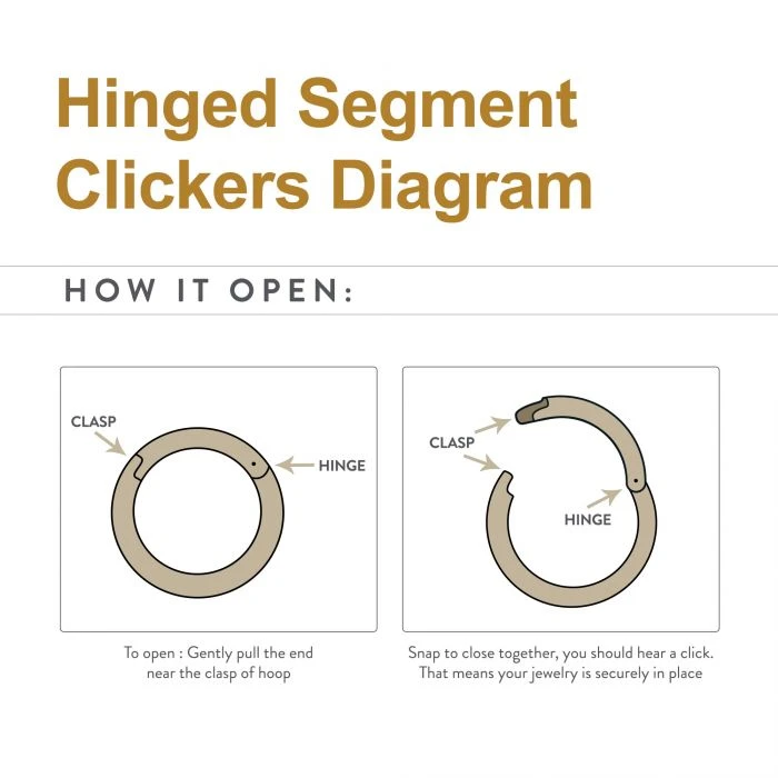 BodyVibe Surgical Steel Basic Hinged Segment Ring - 18g 5/16" Jewelry 3 BodyVibe Surgical Steel Basic Hinged Segment Ring - 18g 5/16" Jewelry